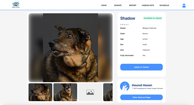 Application form & upload